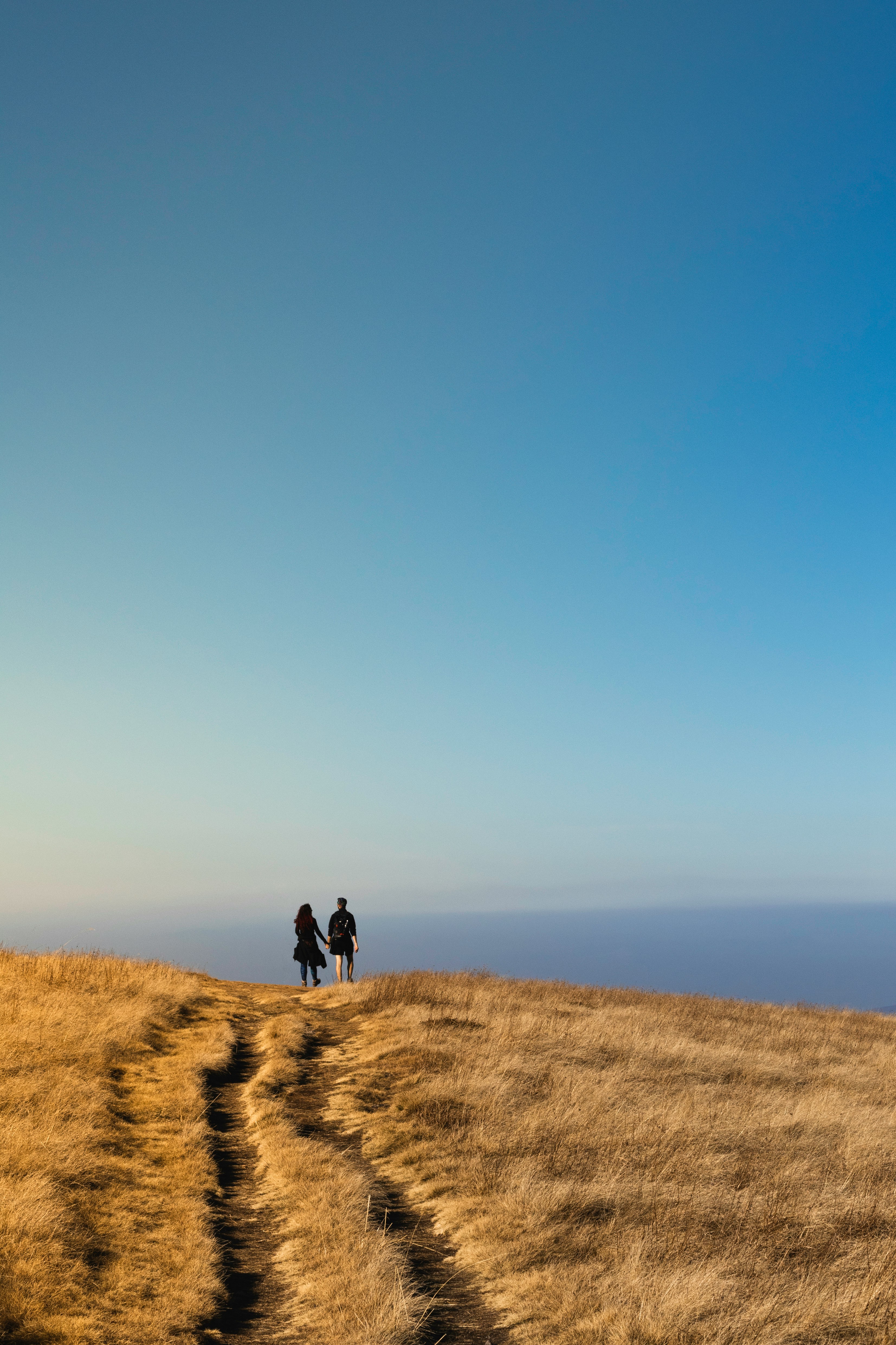 A couple walking together on a hillside toward the open horizon under a clear blue sky